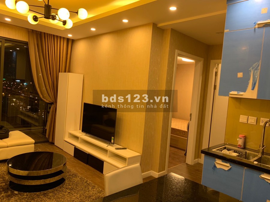 Miễn phí dịch vụ cần cho thuê căn hộ 2n1vs tại D'capitale