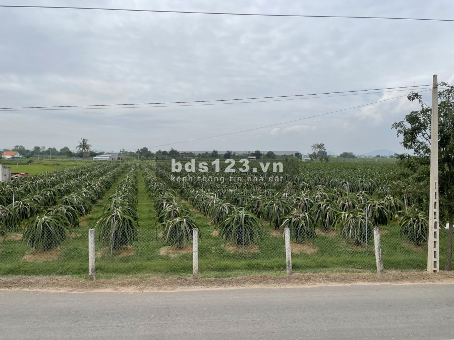 Đất sào 4000m2 CLN xã Hàm Chính, gần kênh sông Quao