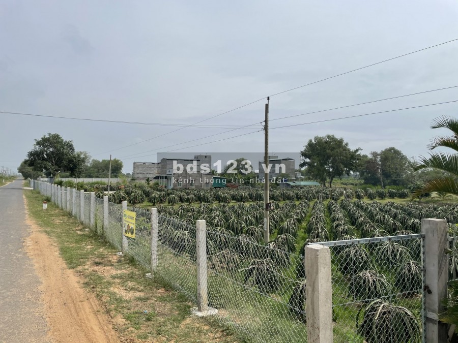 Đất sào 4000m2 CLN xã Hàm Chính, gần kênh sông Quao