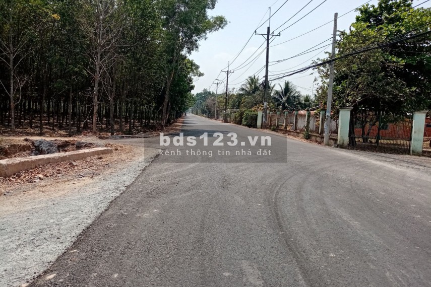 Tôi cần bán gấp miếng đất Củ Chi MT đường 762, lộ giới 20m, gần khu hành chính, thích hợp đầu tư