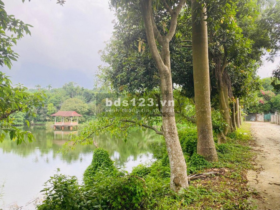 BÁN HƠN 4HA KHUÔN VIÊN CƠ BẢN ĐẸP Ở LƯƠNG SƠN