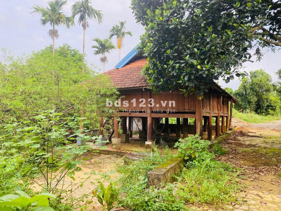 BÁN HƠN 4HA KHUÔN VIÊN CƠ BẢN ĐẸP Ở LƯƠNG SƠN