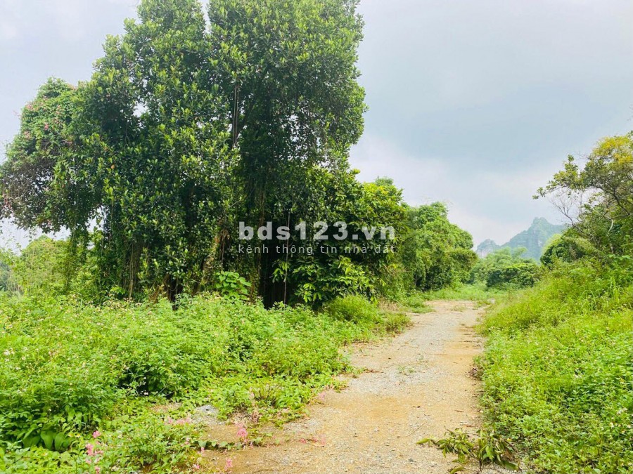 BÁN HƠN 4HA KHUÔN VIÊN CƠ BẢN ĐẸP Ở LƯƠNG SƠN