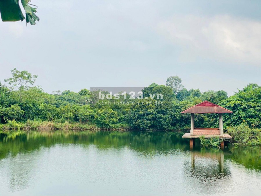 BÁN HƠN 4HA KHUÔN VIÊN CƠ BẢN ĐẸP Ở LƯƠNG SƠN