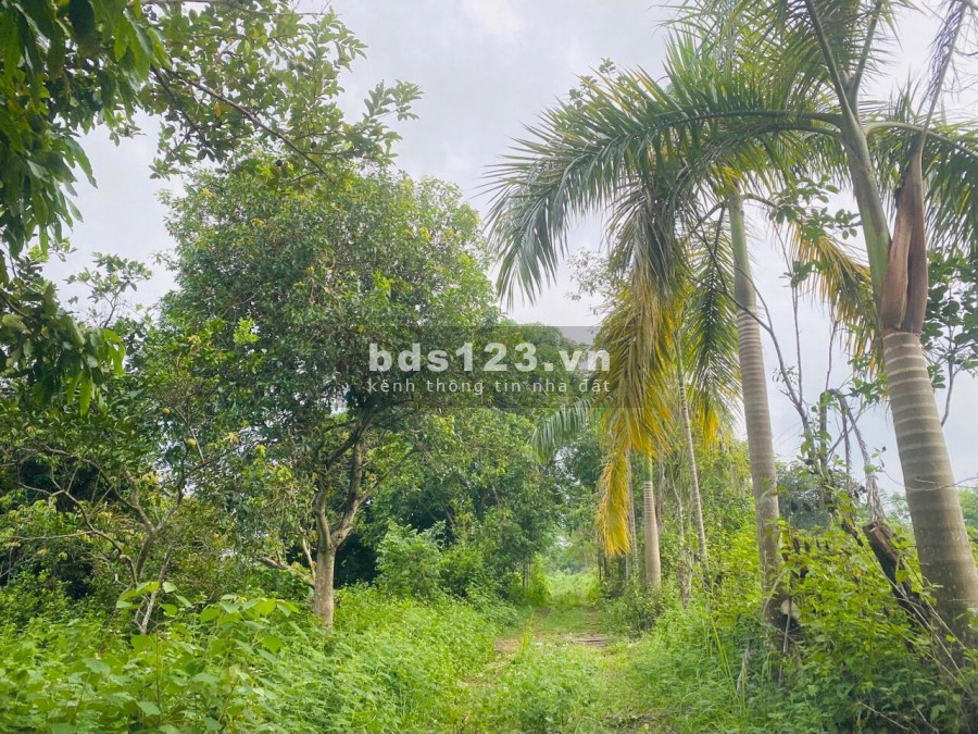BÁN HƠN 4HA KHUÔN VIÊN CƠ BẢN ĐẸP Ở LƯƠNG SƠN