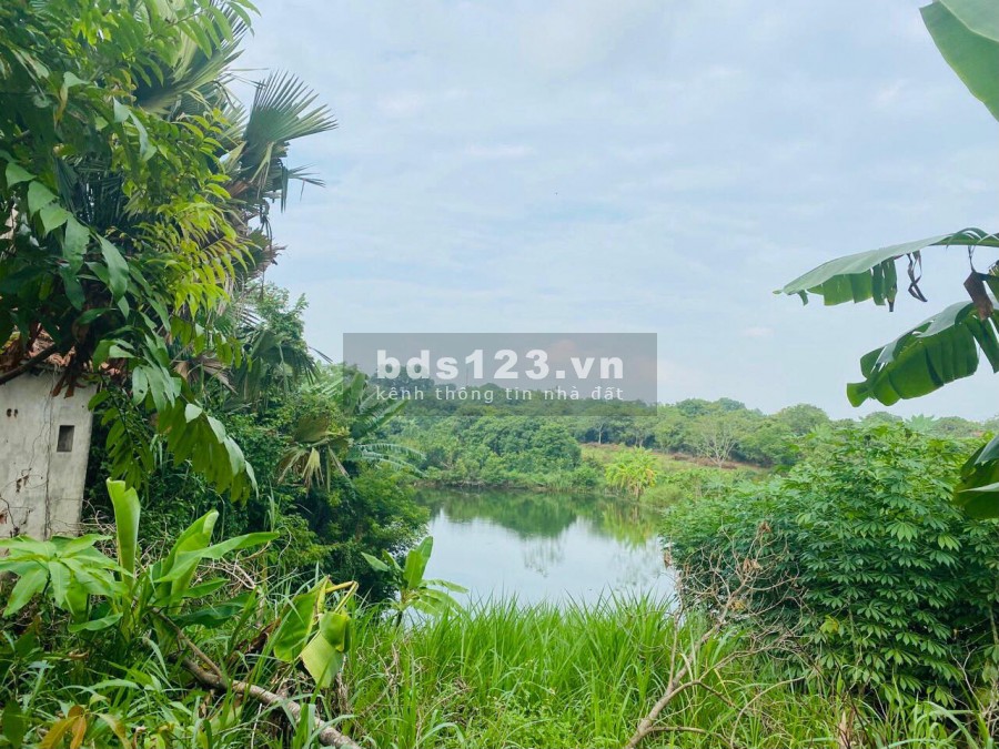 BÁN HƠN 4HA KHUÔN VIÊN CƠ BẢN ĐẸP Ở LƯƠNG SƠN