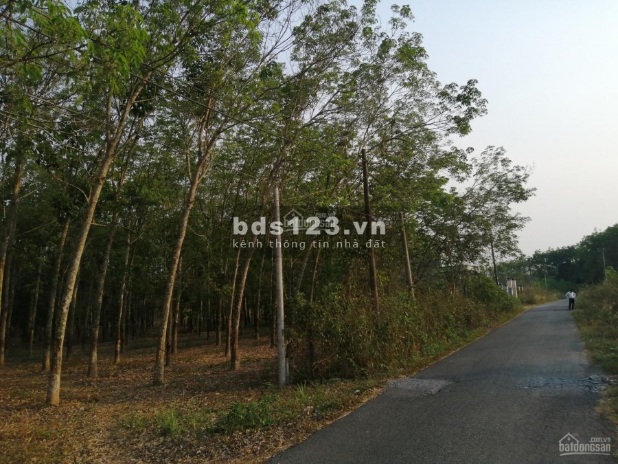 Tôi cần bán gấp miếng đất Củ Chi MT đường 762, lộ giới 20m, gần khu hành chính, thích hợp đầu tư