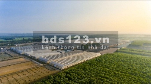 CẦN SANG NHƯỢNG LẠI 3.957M2 NHUẬN ĐỨC, CỦ CHI