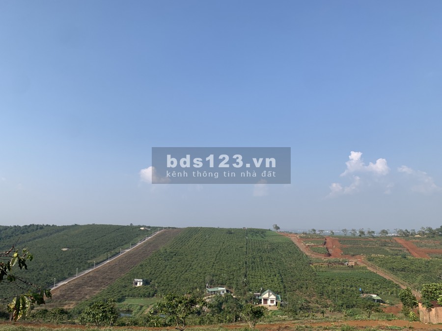 Cần ra gấp lô đất đắc địa có hồ 540m2 lấy vốn làm ăn buôn bán chỉ 799tr tại Bảo Lộc