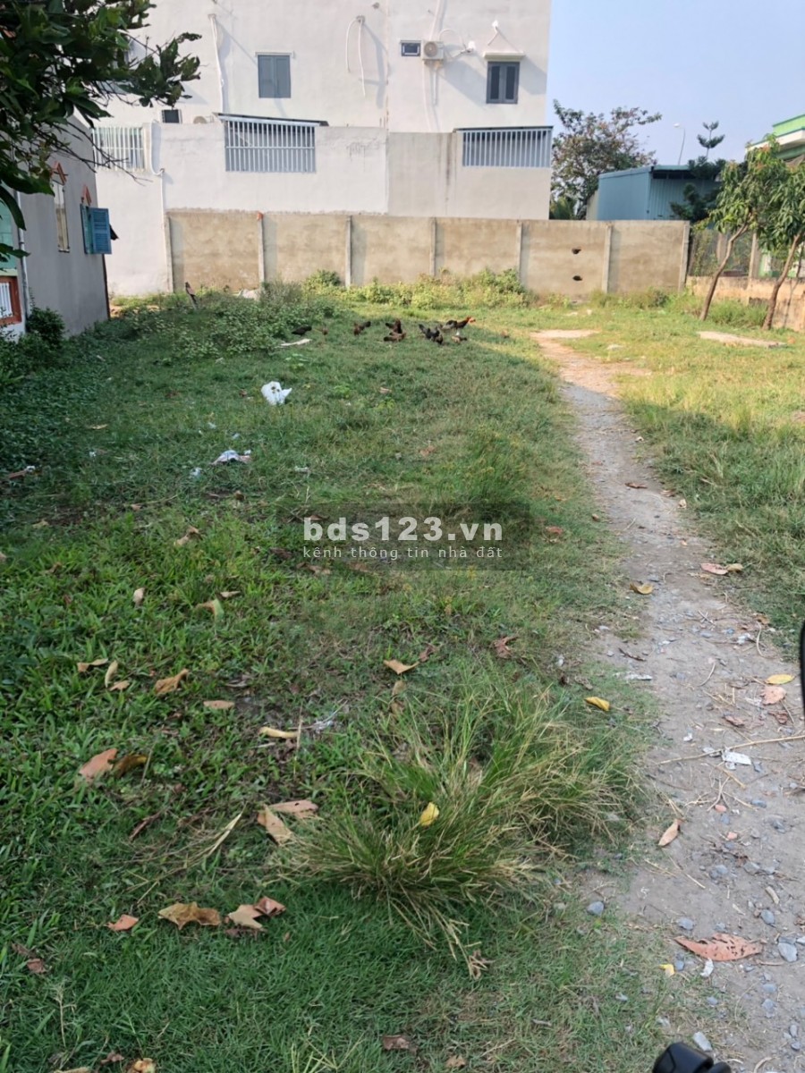 Bán đất Chính Chủ Phước Lý - Long An