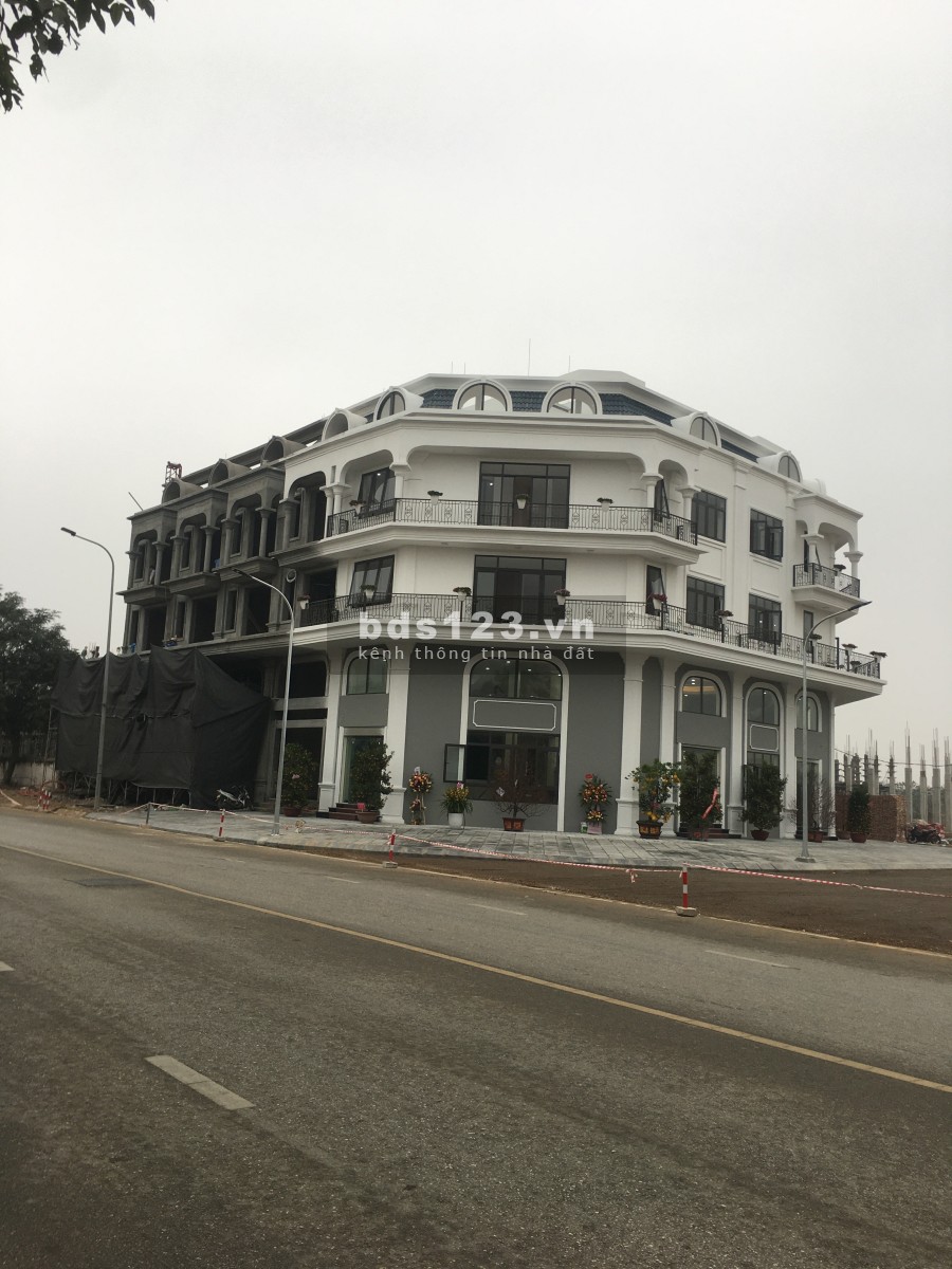 Thông Tin Dự án Calyx Residence 319 Uy Nỗ Đông Anh - Chủ Đầu Tư Tổng Công Ty 319 Bộ Quốc Phòng