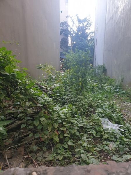 Bán ĐẤT Nguyễn Ngọc Nại 90m2 MT 7.7m ô tô, kinh doanh VP giá chỉ 10.8 tỷ