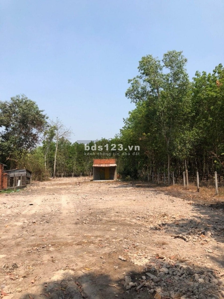 Kẹt tiền ngân hàng, cần bán gấp lô đất ở xã Tiên Thuận, Bến Cầu, Tây Ninh giá rẻ