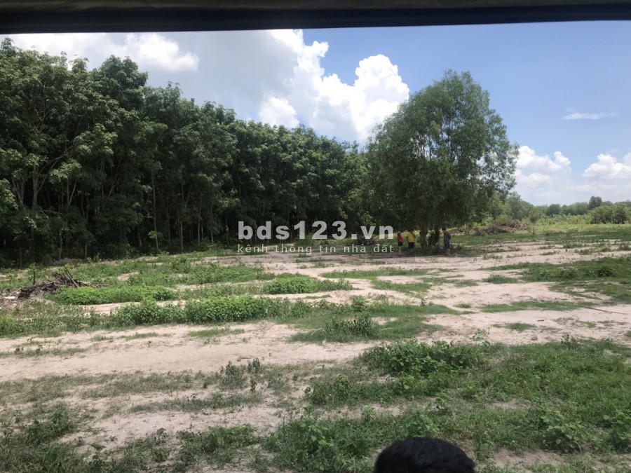 CẦN SANG NHƯỢNG LẠI 3.957M2 NHUẬN ĐỨC, CỦ CHI