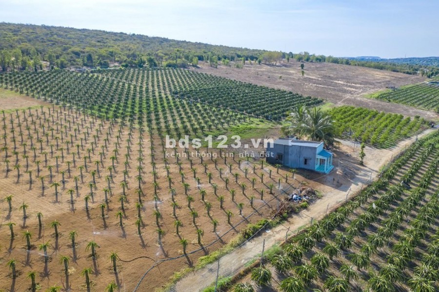 Cần bán gấp 1ha đất vườn sinh thái, view sông Quao, Ven Tp Phan Thiết