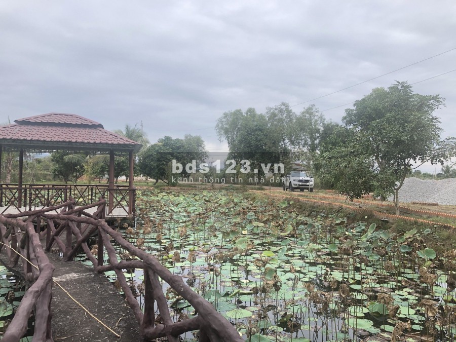 Cần bán gấp 1ha đất vườn sinh thái, view sông Quao, Ven Tp Phan Thiết