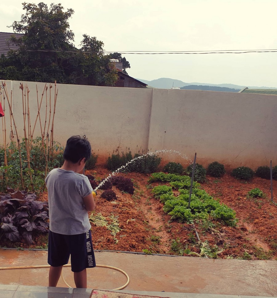 Bán Biệt thự xinh xinh, view đẹp Giá Cực Rẻ Cách Trung Tâm 3km