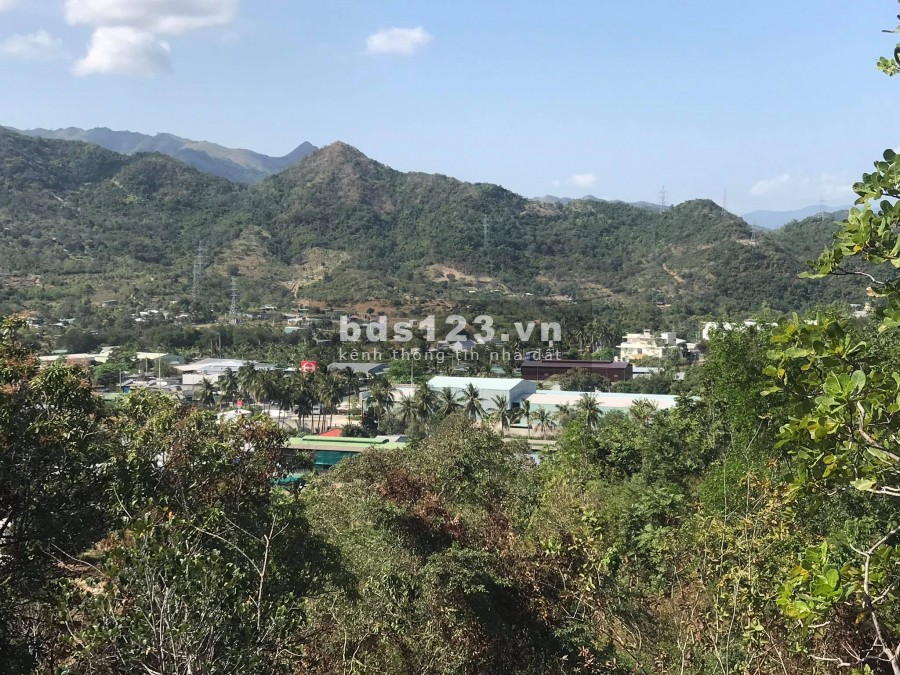 Bán đất làm nhà vườn view cao QL1A xã Vĩnh Lương giá rẻ LH 0788.558.552