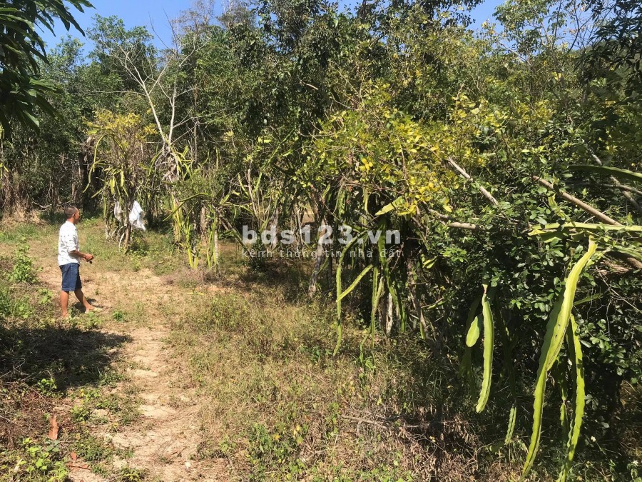 Bán đất làm nhà vườn view cao QL1A xã Vĩnh Lương giá rẻ LH 0788.558.552