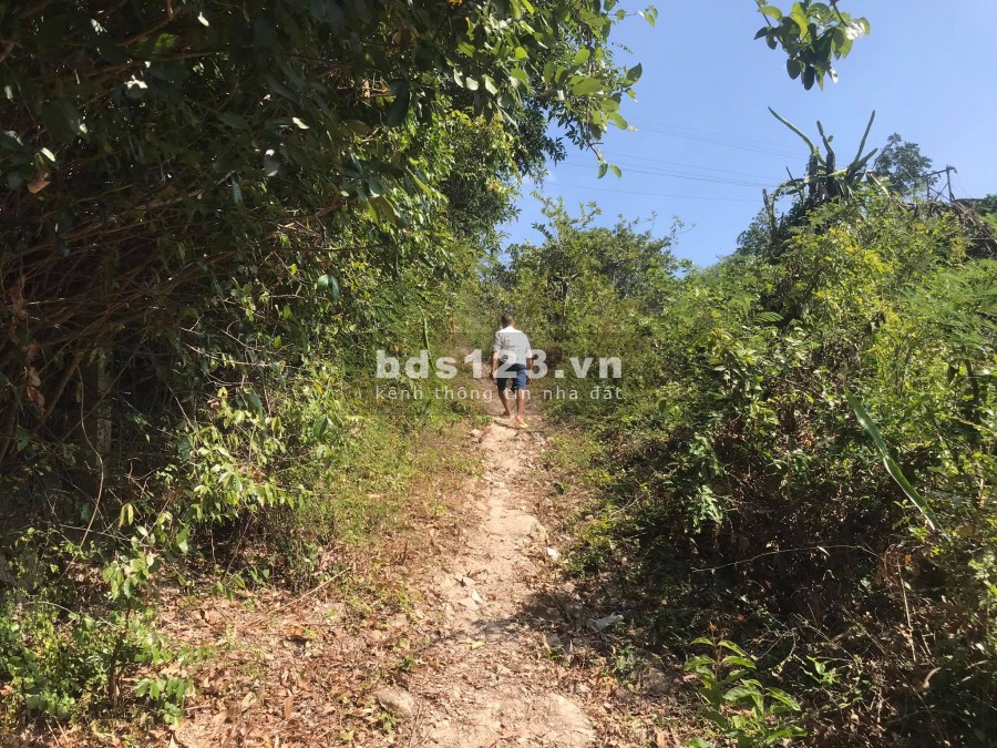 Bán đất làm nhà vườn view cao QL1A xã Vĩnh Lương giá rẻ LH 0788.558.552