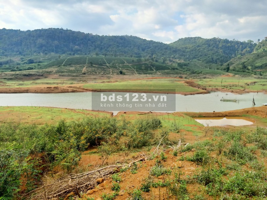 1400m2 vườn cây ăn trái wiew sông tuyệt đẹp giá chỉ 800tr
