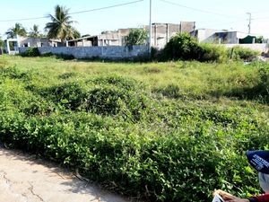 Chuyển nhượng 1000m2 đất vườn sinh thái, điện nước đầy đủ, cách trung tâm Phan Thiết 15p đi xe, sổ đỏ riêng
