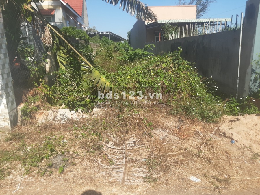 Bán đất mặt tiền đường nhựa cách đường lộ số 3 chỉ 200m