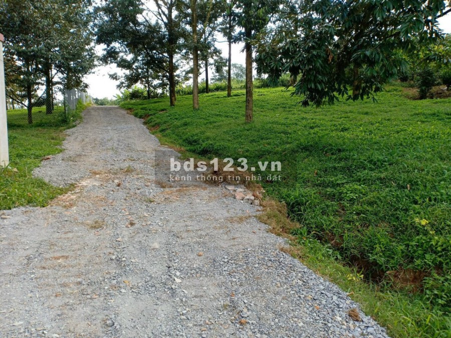 Cần bán lô đất 4224m2 đường Lê Thị Riêng xã lộc châu