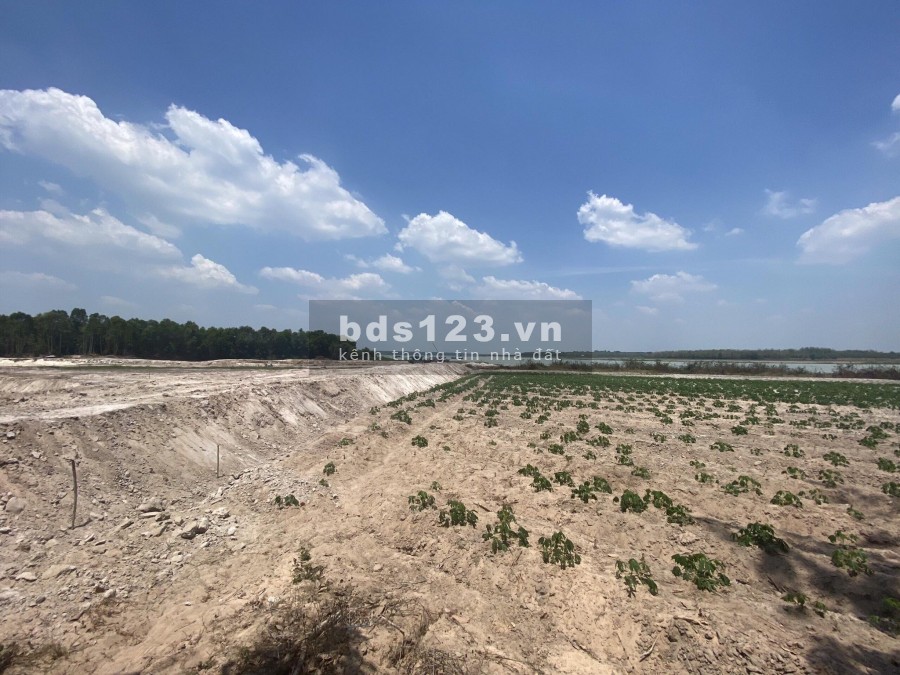 Bán Đất Hồ Dầu Tiếng giá Rẻ, view hồ Cực Đẹp