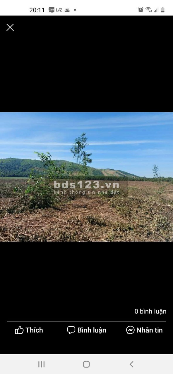 Day nong nghiep cao su dieu.vv