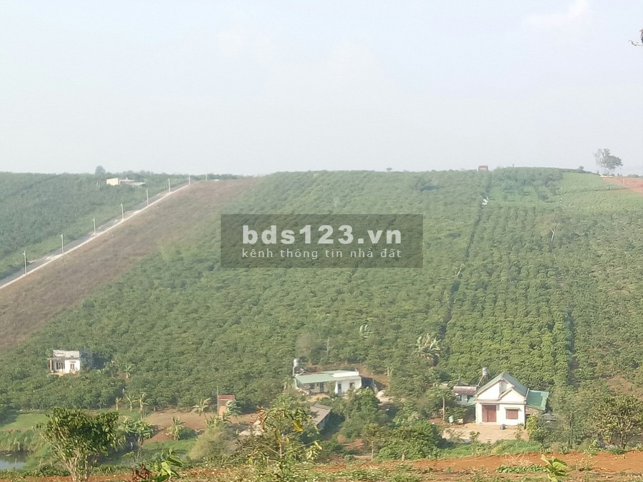 Cần bán đất biệt thự diện tích vuông vức từ 300m2 - 900m2, giá ưu đãi 3,5 triệu/m2.