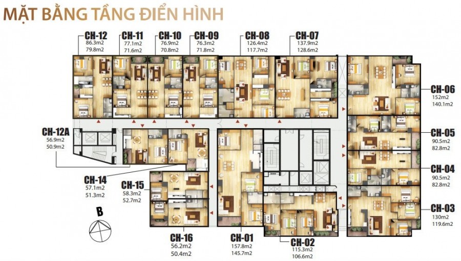 Mở Bán Dự Án Chung Cư 67 Trần Phú-8b Lê Trực