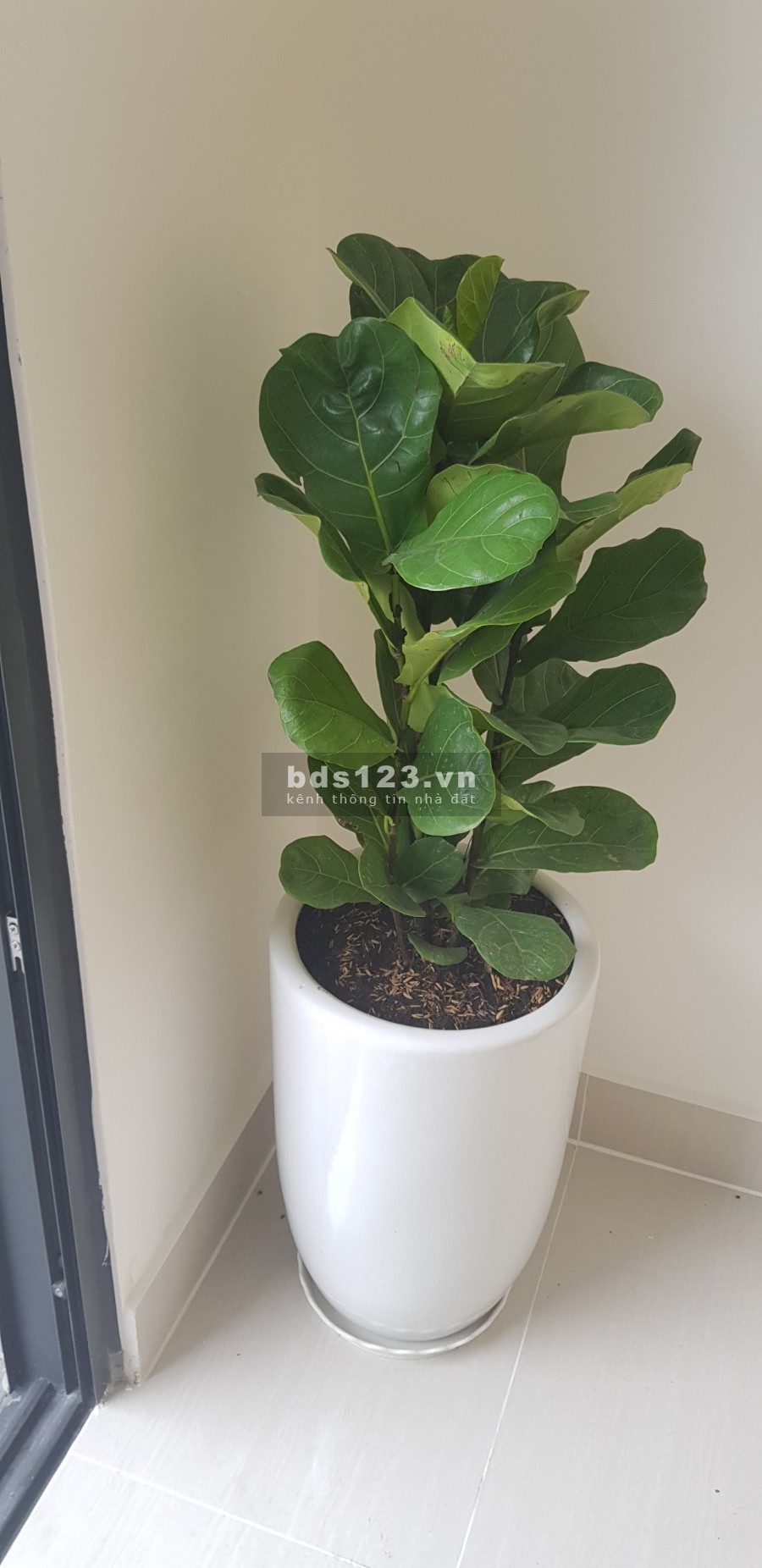 Vinhomes Q9 căn hộ 2PN+ full NT giá 888tr đồng
