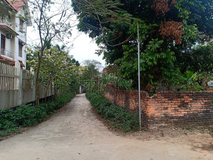 DUY NHẤT CHỈ CÓ MỘT LÔ 730M2 CẦN BÁN GẤP TẠI SÓC SƠN LH 0964687910