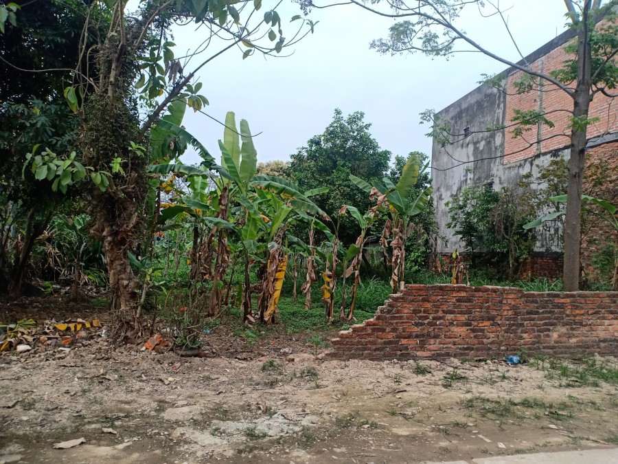 DUY NHẤT CHỈ CÓ MỘT LÔ 730M2 CẦN BÁN GẤP TẠI SÓC SƠN LH 0964687910