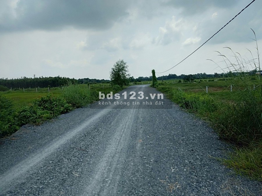 1667m2 đất trồng cây lâu năm mặt tiền đường 8m 1 tỷ 700tr