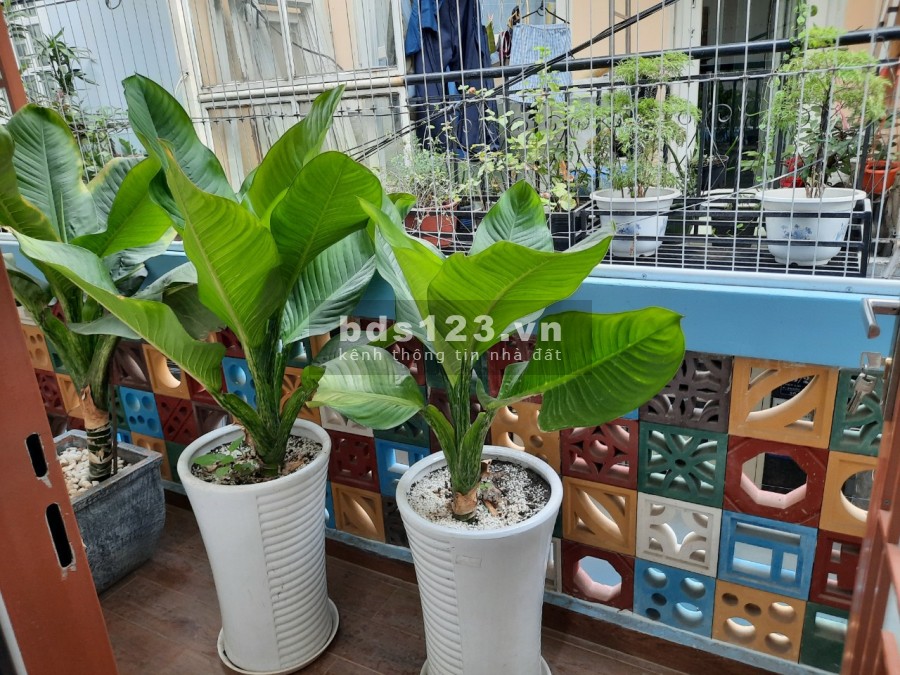 Bán nhà khu bắc rạch chiếc đẹp lắm, full nội thất, Plong A. Dt 40m2 1trệt 1lầu
