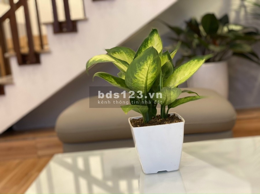 Bán nhà đường Điện Biên Phủ, ph Bình Hàn, TP HD, 45m2, mt 4m,…