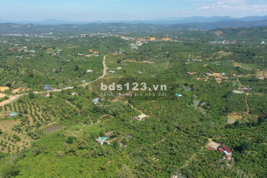 Làng thiền sinh thái Medi Ecovill