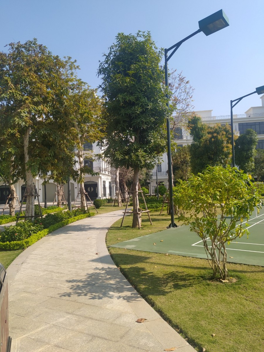 Chuyển nhượng căn biệt thự liền kề diện tích 72m2 Vinhomes…