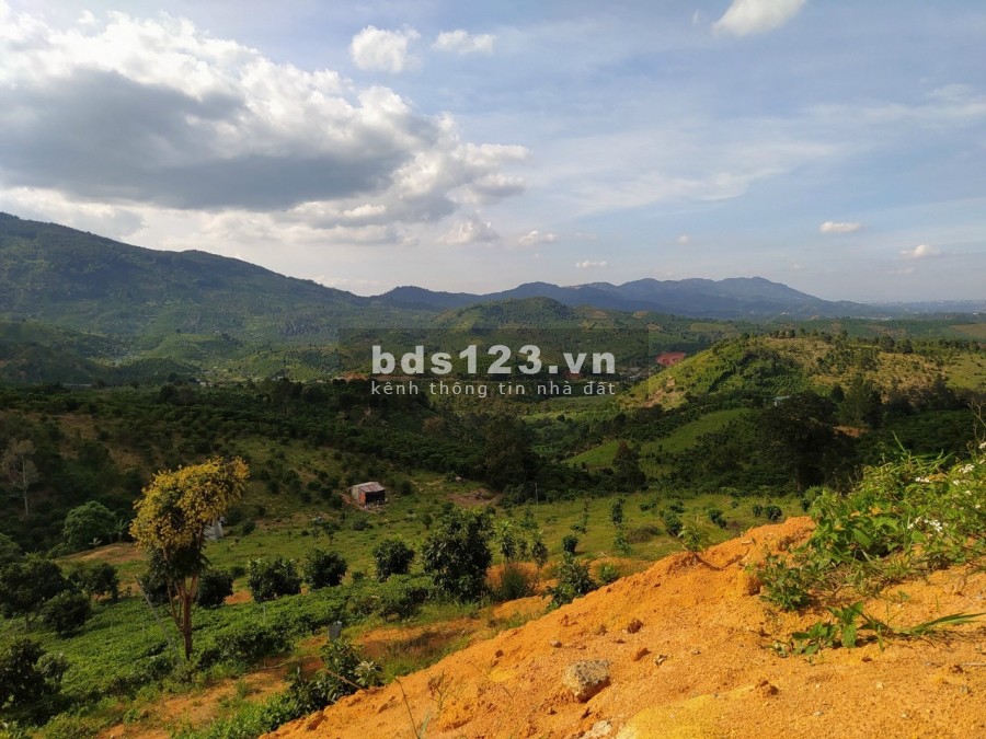 Làng thiền sinh thái Medi Ecovill