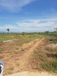 Bán gấp 1ha đất nhà vườn cho những ai yêu thiên nhiên, thích yên tĩnh tại Hàm Chính, Bình Thuận