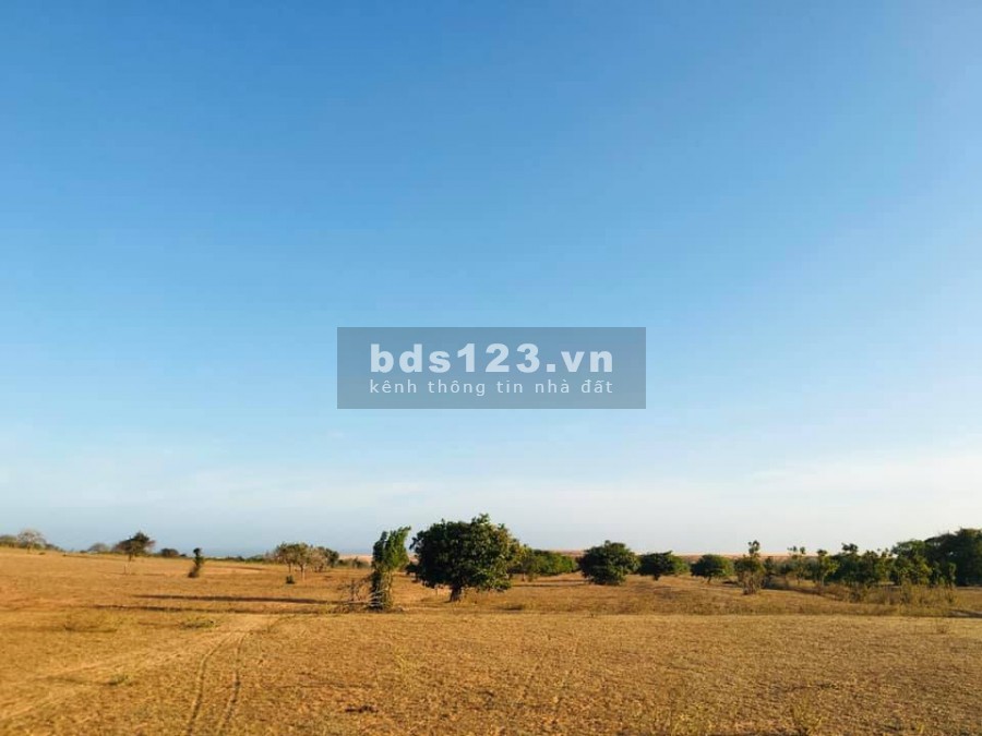 LÔ ĐẤT SIÊU PHẨM GẦN MẶT TIỀN ĐƯỜNG 715 XÃ HÒA THẮNG, BT - CƠ HỘI SINH LỜI NGAY
