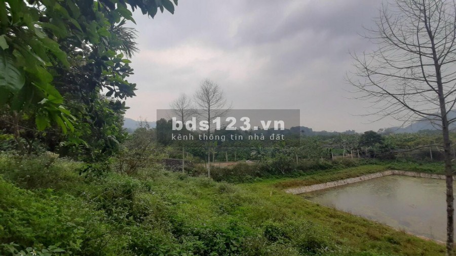 BÁN ĐẤT YÊN BÌNH THẠCH THẤT - CẦN BÁN NHANH 2500M VIEW CAO THOÁNG TẠI YÊN BÌNH