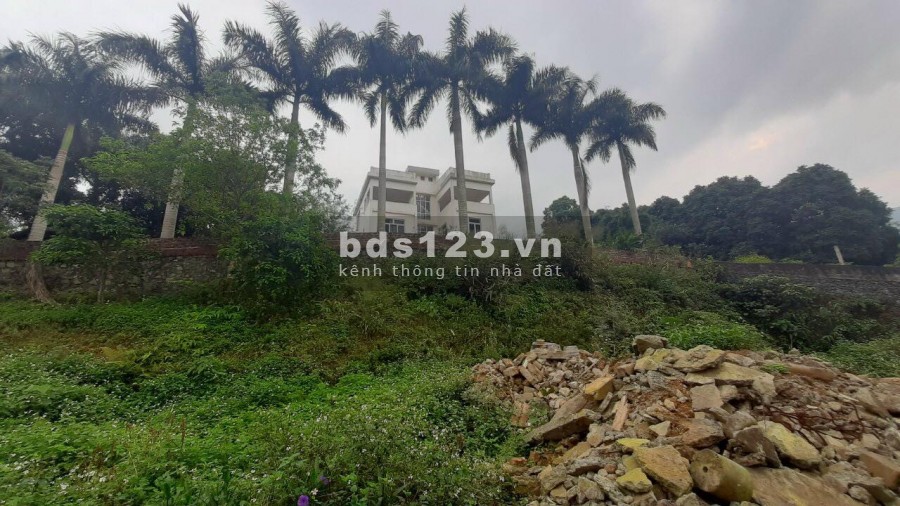 BÁN ĐẤT YÊN BÌNH THẠCH THẤT - CẦN BÁN NHANH 2500M VIEW CAO THOÁNG TẠI YÊN BÌNH