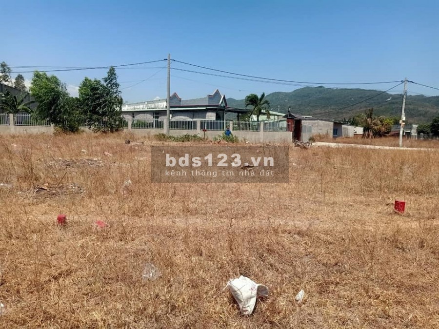 Bán Đất Tân Hòa, Tân Thành Uy Tín Chất Lượng Bà Rịa