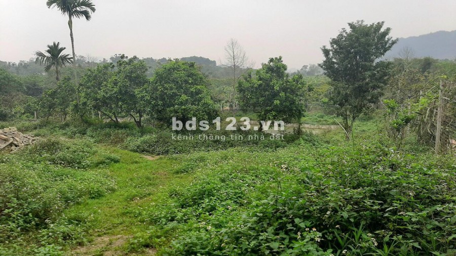 BÁN ĐẤT YÊN BÌNH THẠCH THẤT - CẦN BÁN NHANH 2500M VIEW CAO THOÁNG TẠI YÊN BÌNH