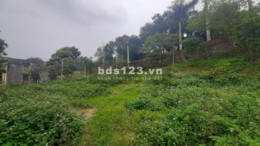 BÁN ĐẤT YÊN BÌNH THẠCH THẤT - CẦN BÁN NHANH 2500M VIEW CAO THOÁNG TẠI YÊN BÌNH