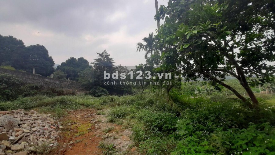 BÁN ĐẤT YÊN BÌNH THẠCH THẤT - CẦN BÁN NHANH 2500M VIEW CAO THOÁNG TẠI YÊN BÌNH