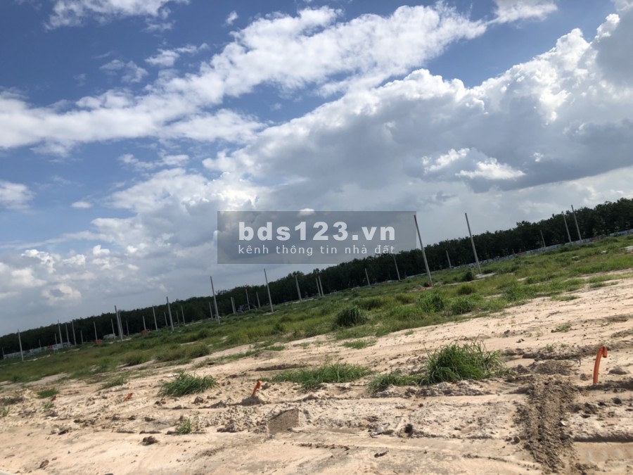 Cần bán đất “Mặt Tiền” đường Nguyễn Triệu Luật 3300m2 full thổ cư, giá đầu tư